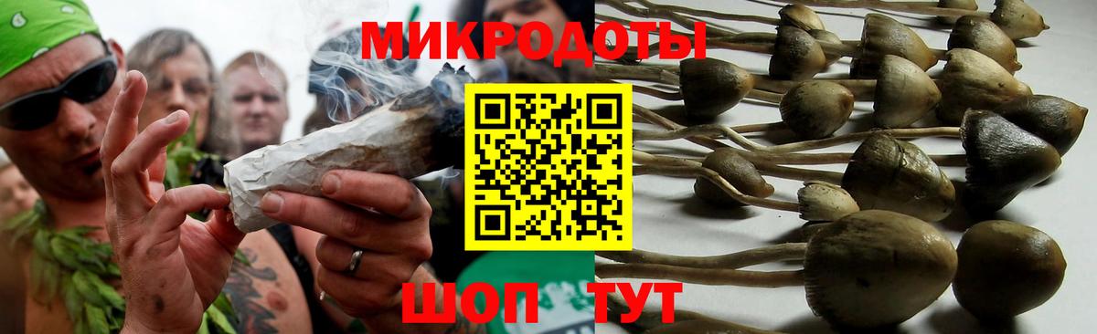 Берёзовский  Псилоцибиновые грибы Psilocybine cubensis  Вход с VPN  Галлюциногенные грибы прущие грибы 