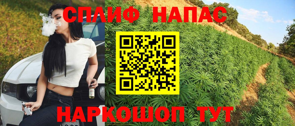 Шишки марихуана ГИДРОПОН Берёзовский